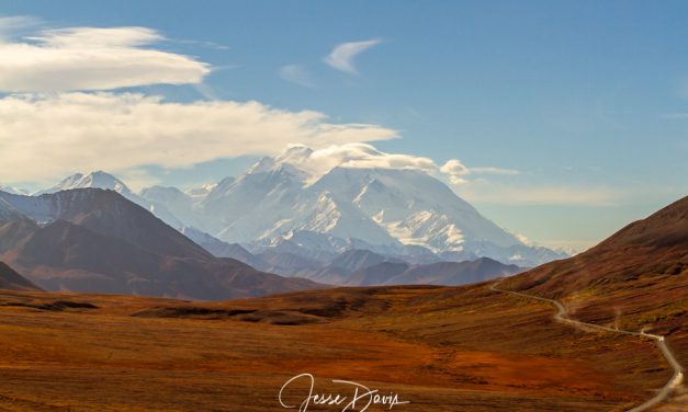 Tim’s Extra Test to add blog catigories