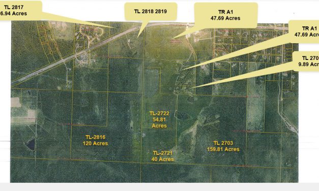 Tim’s Extra Test to add blog catigories